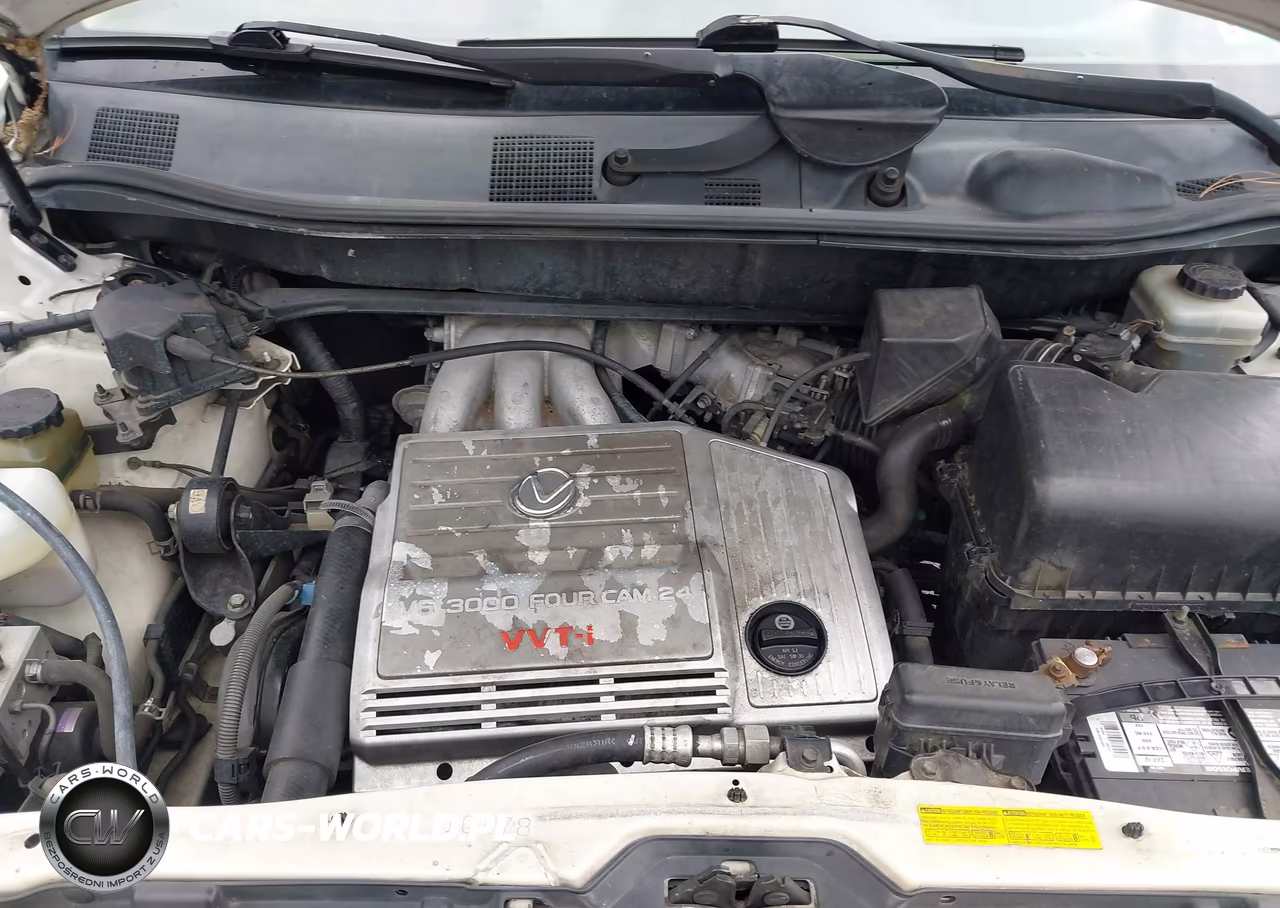 2001 Lexus Rx 300 VIN:JTJHF10U610181338 - 10