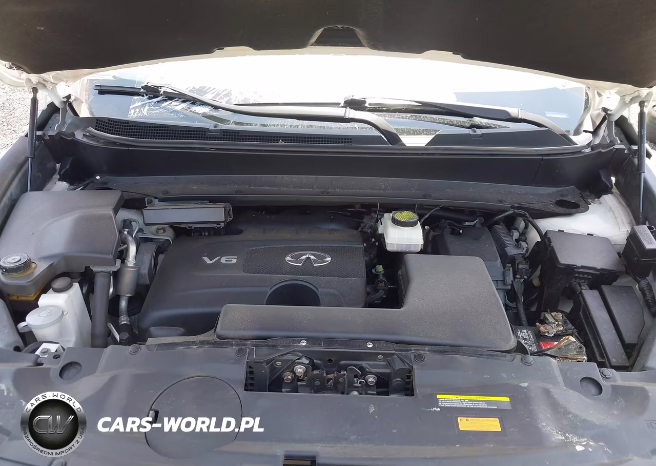 2018 Infiniti Qx60 VIN:5N1DL0MM5JC528490 - 10