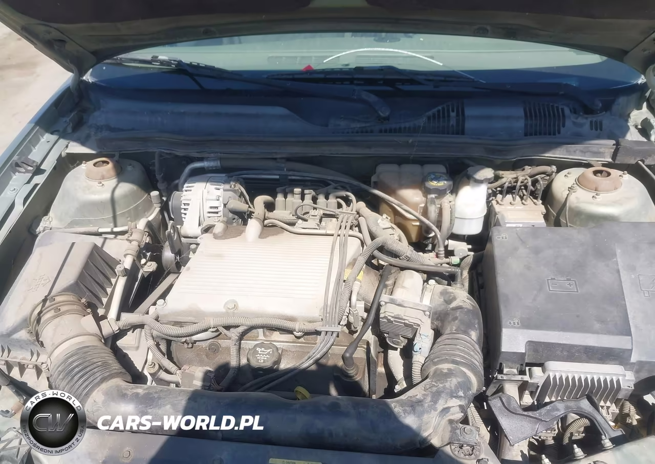 2004 Chevrolet Malibu Ls VIN:1G1ZT54884F136335 - 10