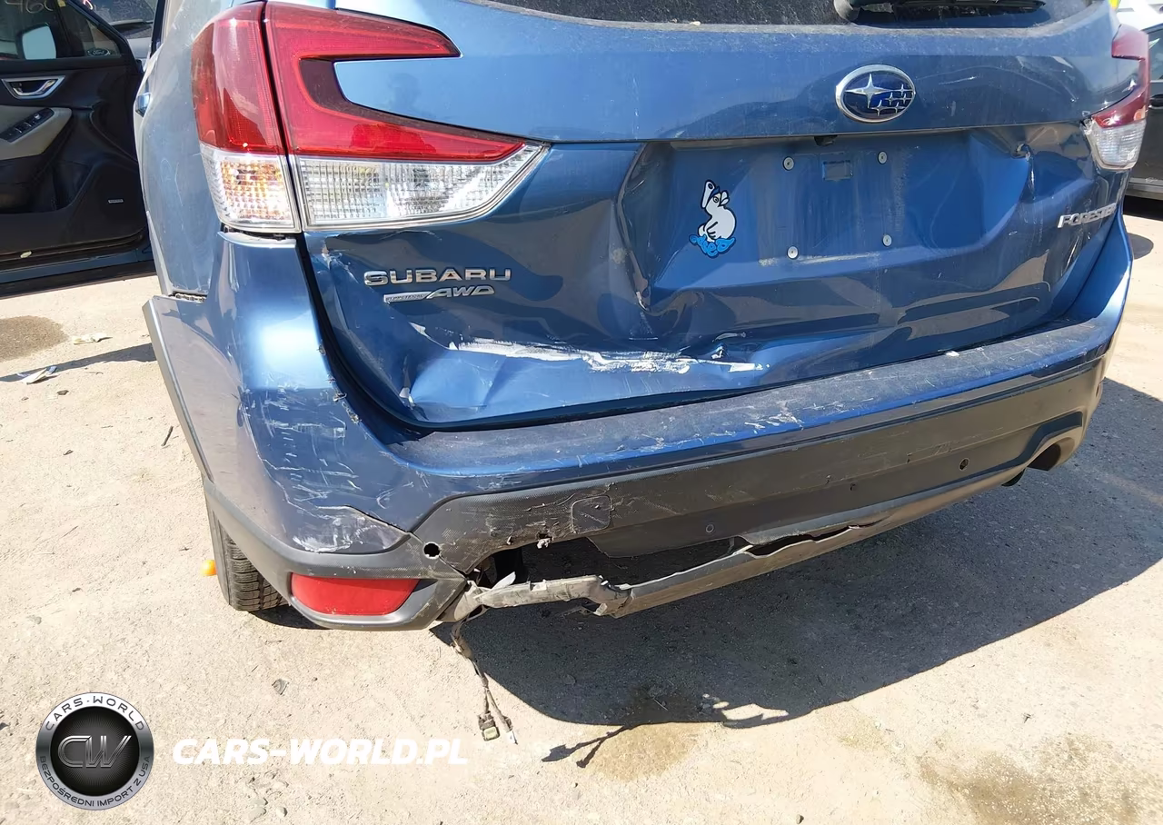 2019 Subaru Forester Limited VIN:JF2SKAUC2KH546611 - 6