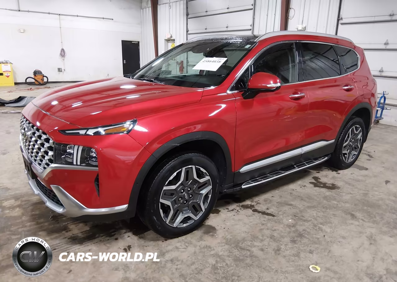 2021 Hyundai Santa Fe Limited VIN:5NMS4DAL2MH354895 - 2