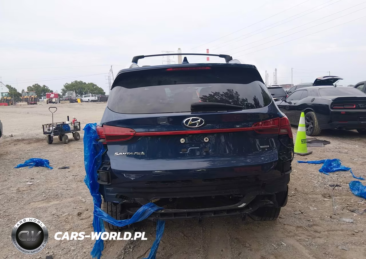2021 Hyundai Santa Fe Sel VIN:5NMS3DAJ1MH366683 - 16