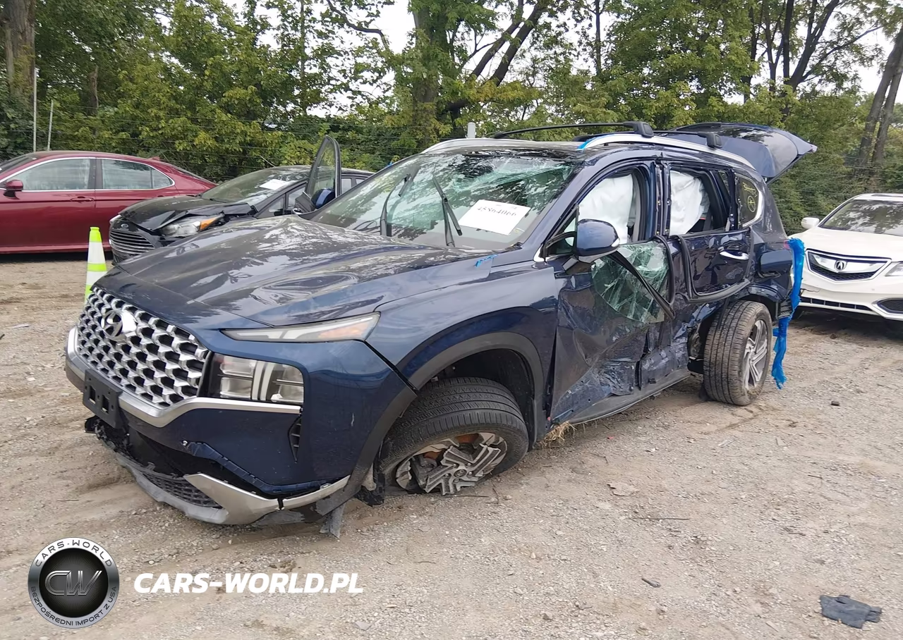 2021 Hyundai Santa Fe Sel VIN:5NMS3DAJ1MH366683 - 2