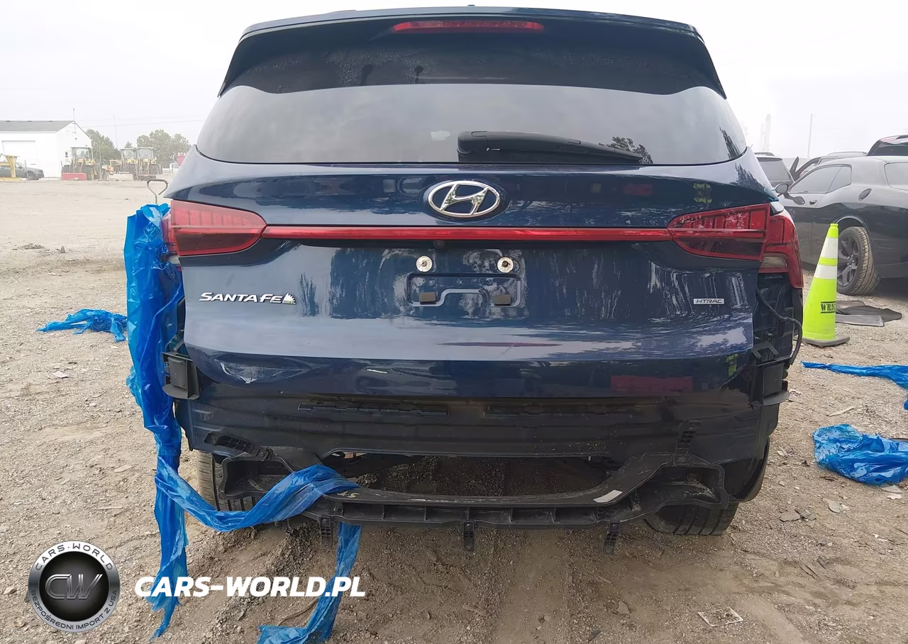 2021 Hyundai Santa Fe Sel VIN:5NMS3DAJ1MH366683 - 6