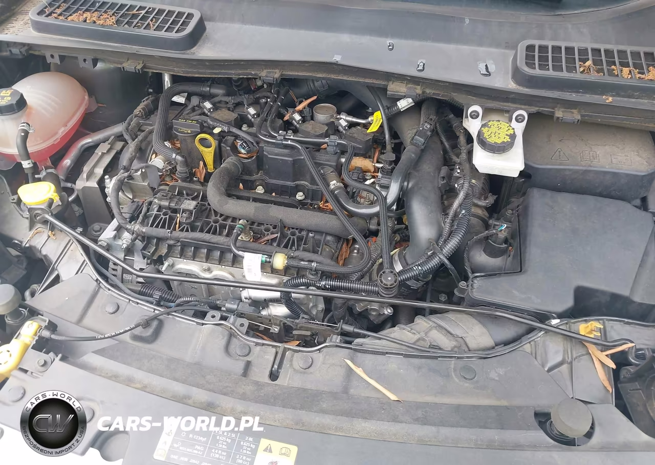 2019 Ford Escape Se VIN:1FMCU0GD3KUA44141 - 10