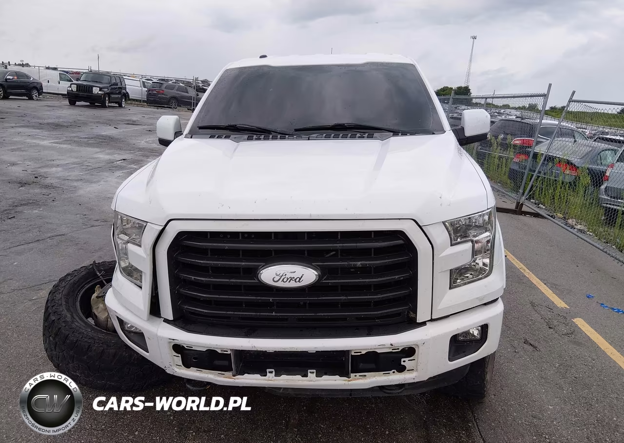 2015 Ford F-150 Xlt VIN:1FTEW1EG3FKD41972 - 13