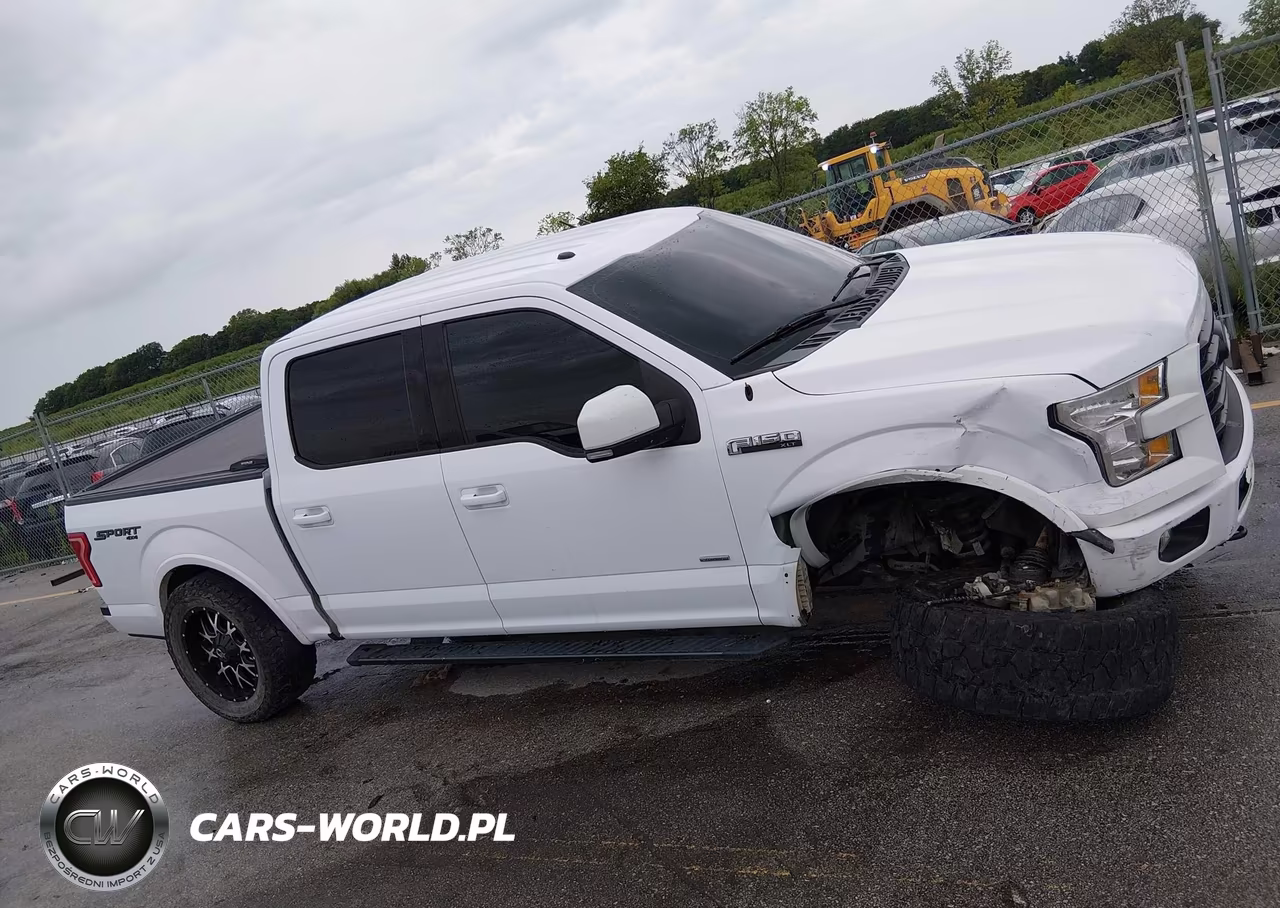 2015 Ford F-150 Xlt VIN:1FTEW1EG3FKD41972 - 14
