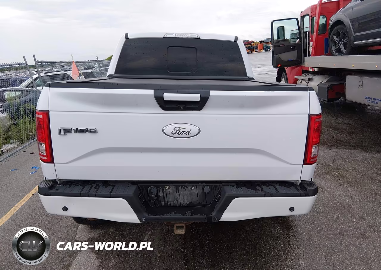 2015 Ford F-150 Xlt VIN:1FTEW1EG3FKD41972 - 17