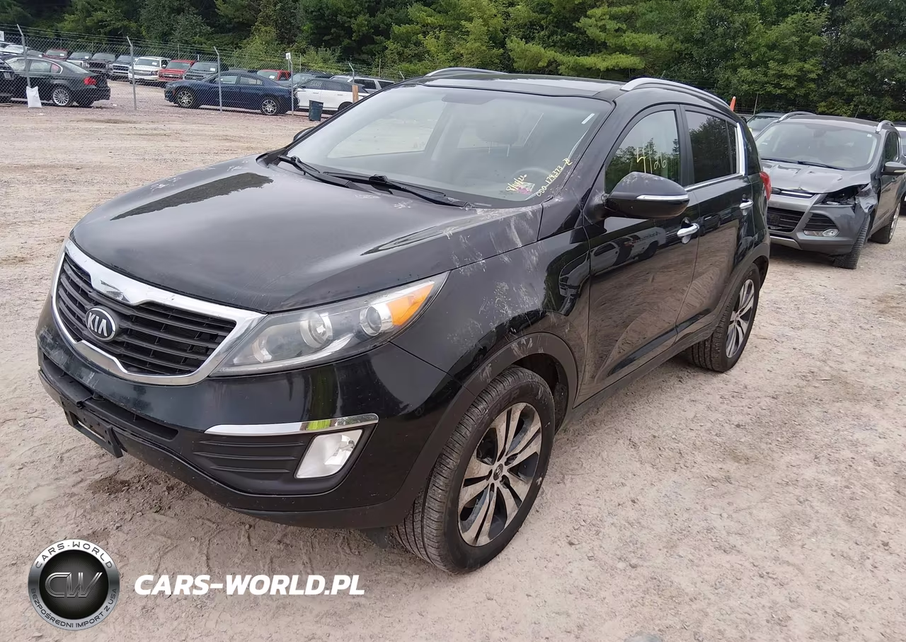 2013 Kia Sportage Ex VIN:KNDPC3A27D7413313 - 2