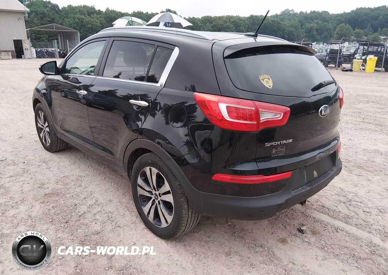 2013 Kia Sportage Ex VIN:KNDPC3A27D7413313 - 3