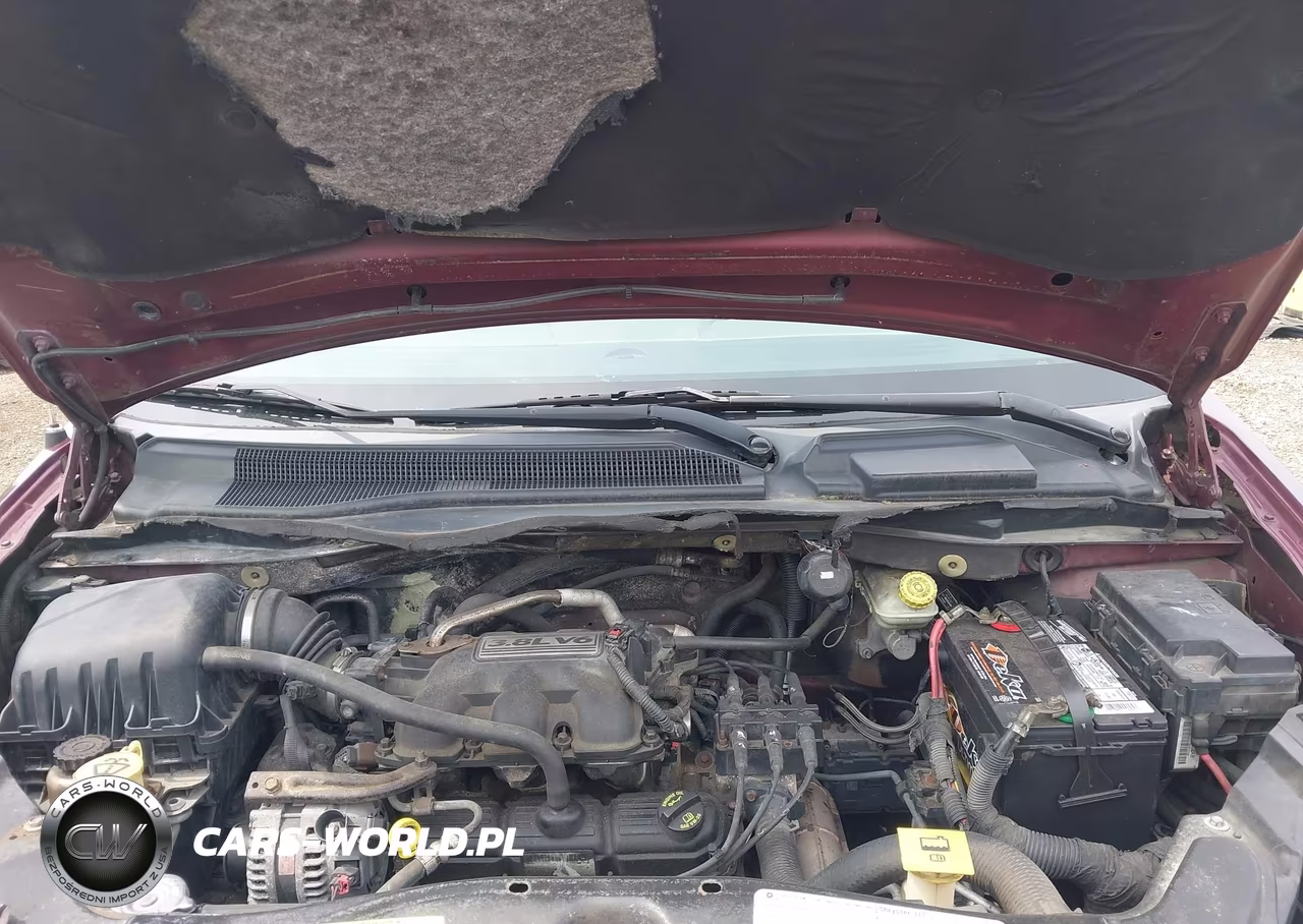 2009 Dodge Grand Caravan Sxt VIN:2D8HN54119R564703 - 10