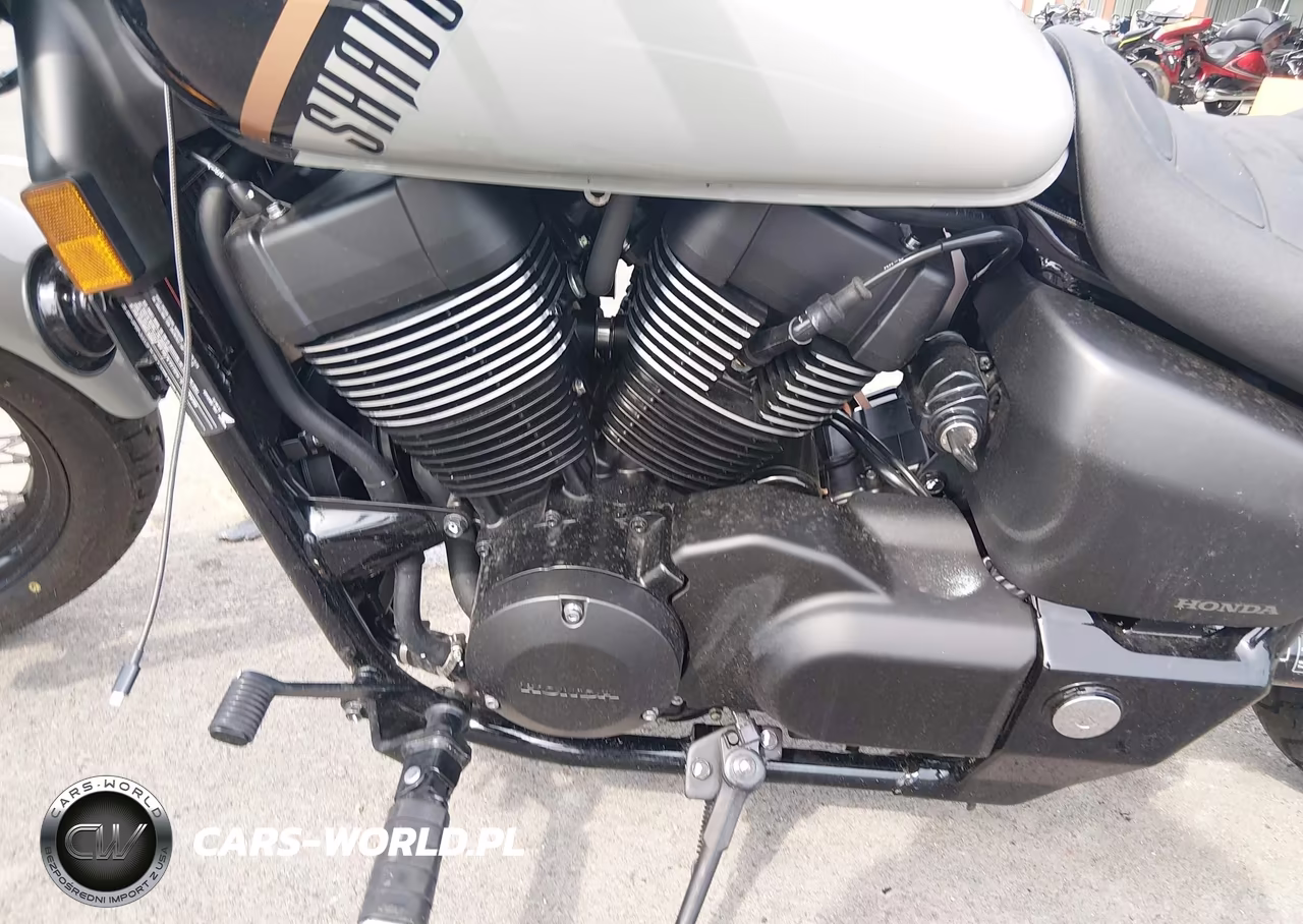 2025 Honda Vt750 C2B VIN:JH2RC53E8SK100624 - 9