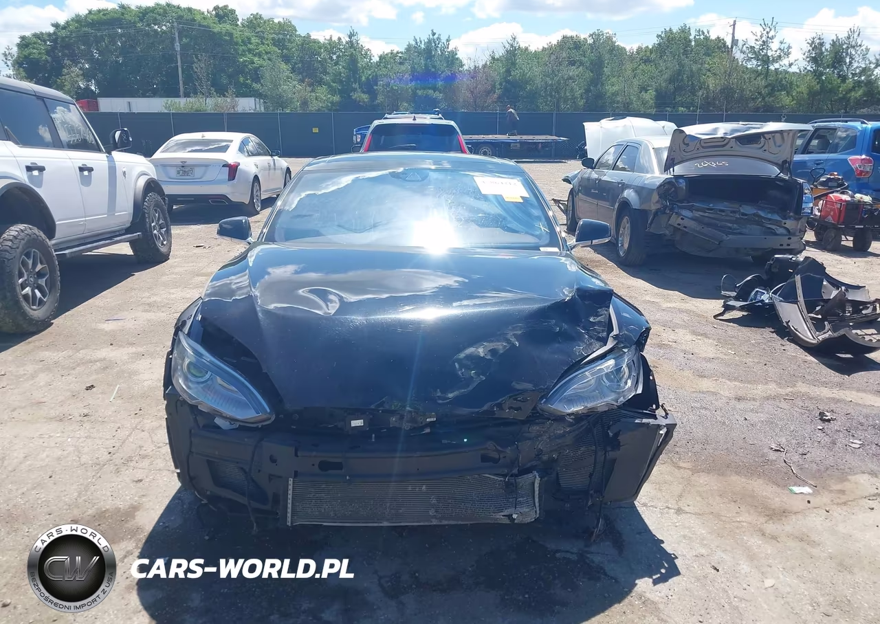 2016 Tesla Model S 90D-P100D-P85D-P90D VIN:5YJSA1E40GF132369 - 13