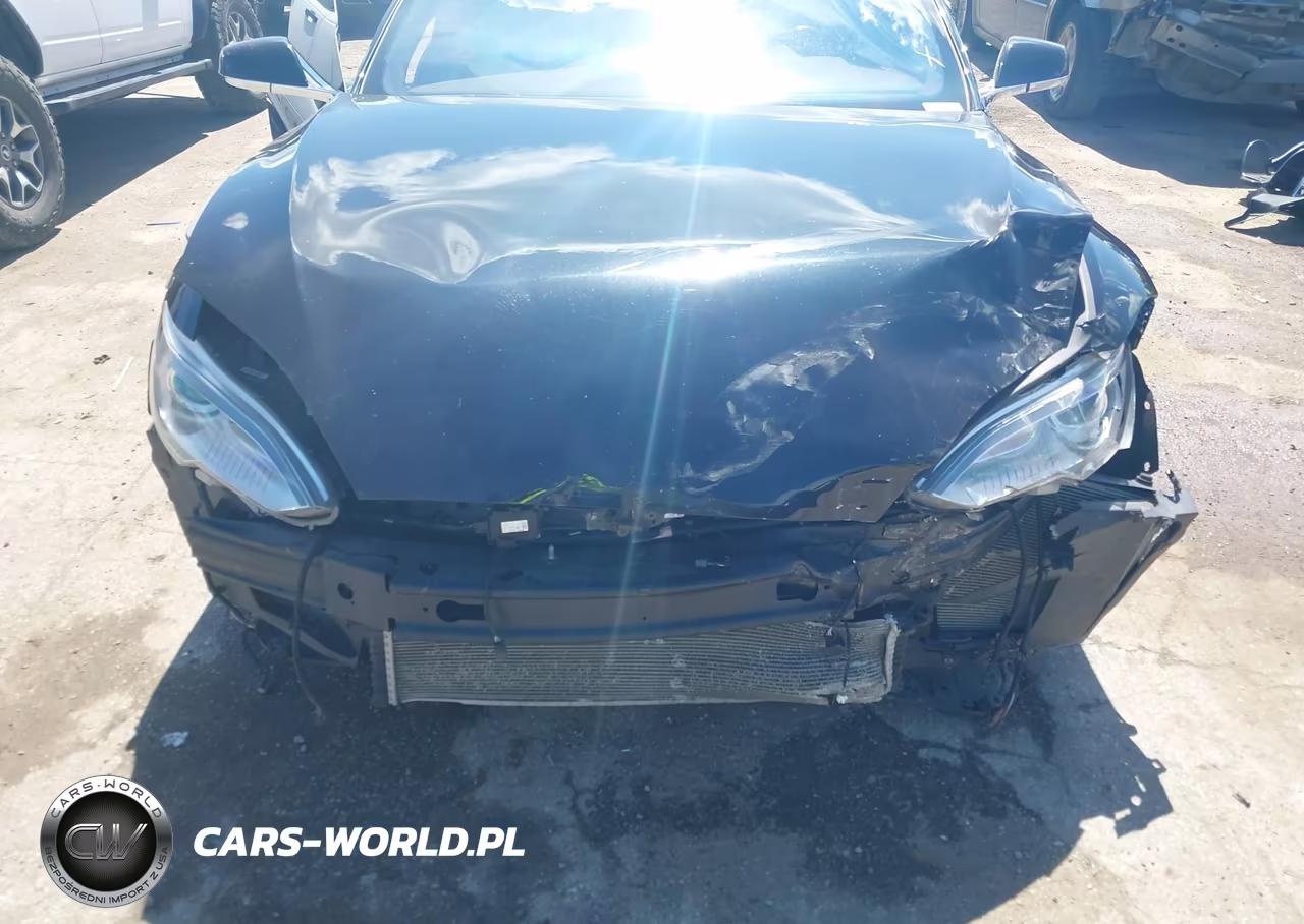 2016 Tesla Model S 90D-P100D-P85D-P90D VIN:5YJSA1E40GF132369 - 6