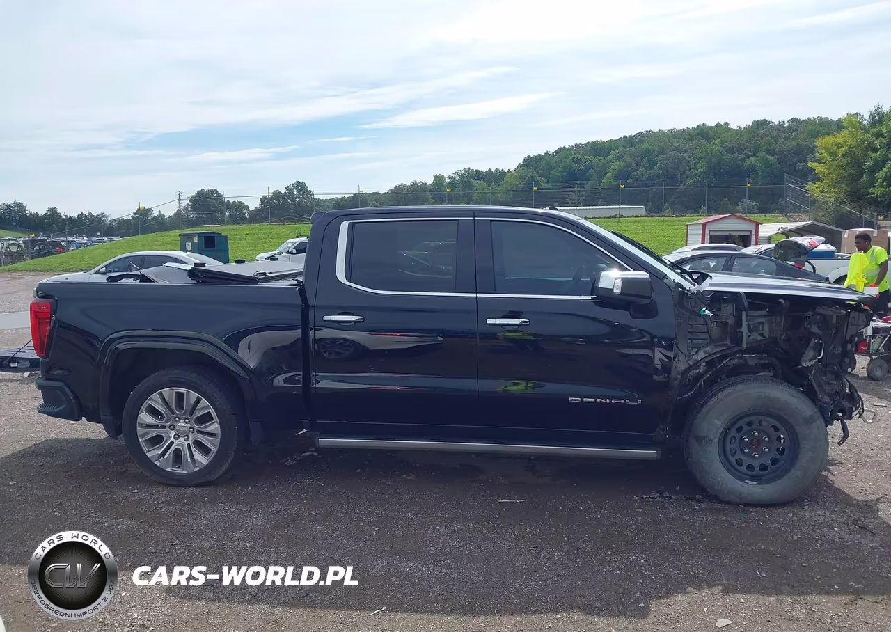 2020 GMC Sierra 1500 4Wd Short Box Denali VIN:1GTU9FEL8LZ121095 - 13
