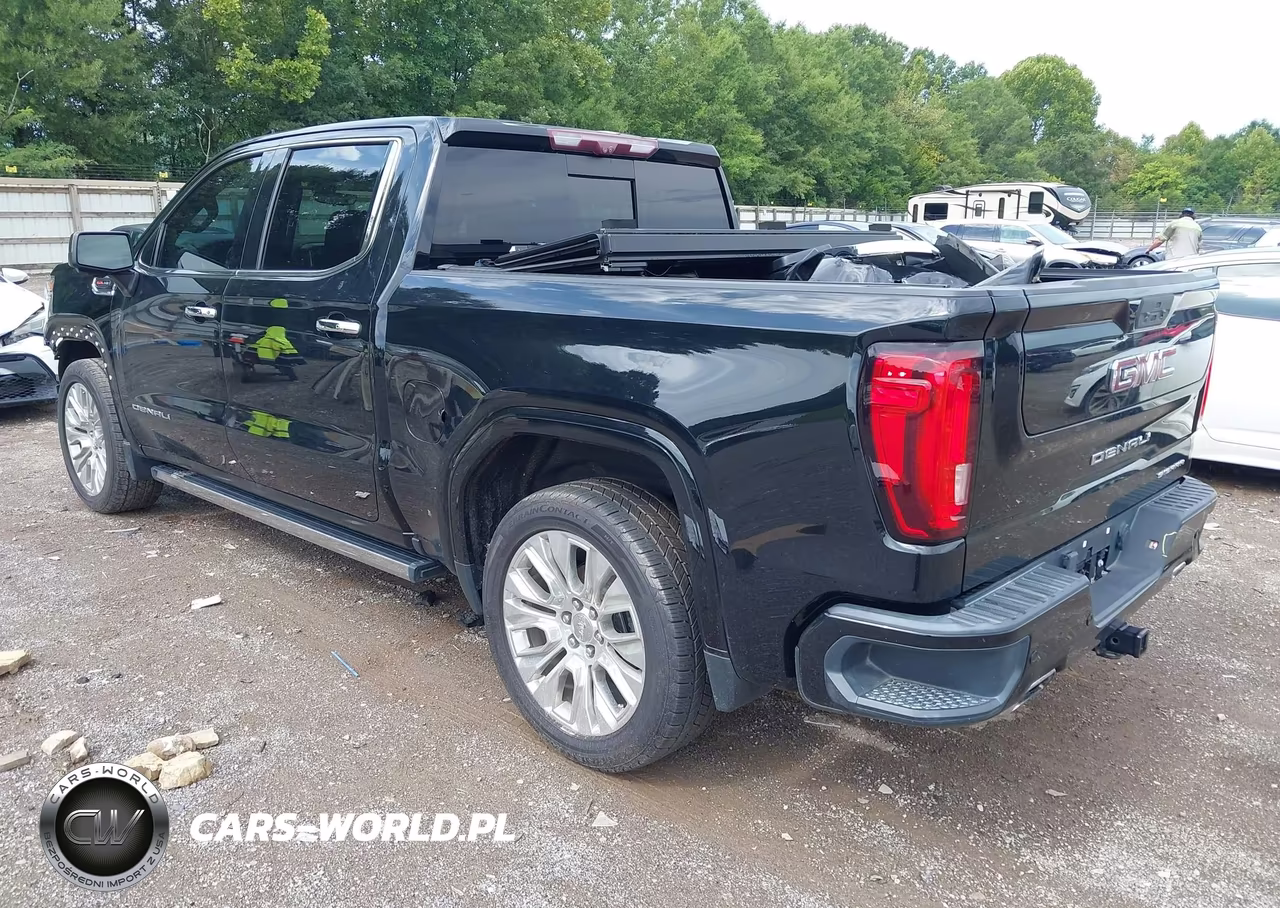 2020 GMC Sierra 1500 4Wd Short Box Denali VIN:1GTU9FEL8LZ121095 - 3