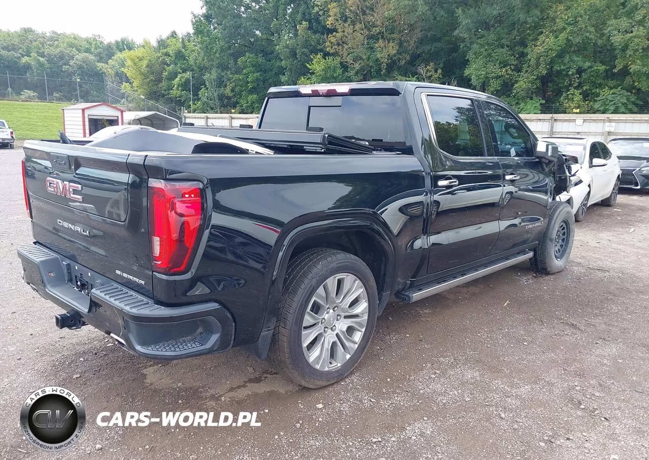 2020 GMC Sierra 1500 4Wd Short Box Denali VIN:1GTU9FEL8LZ121095 - 4