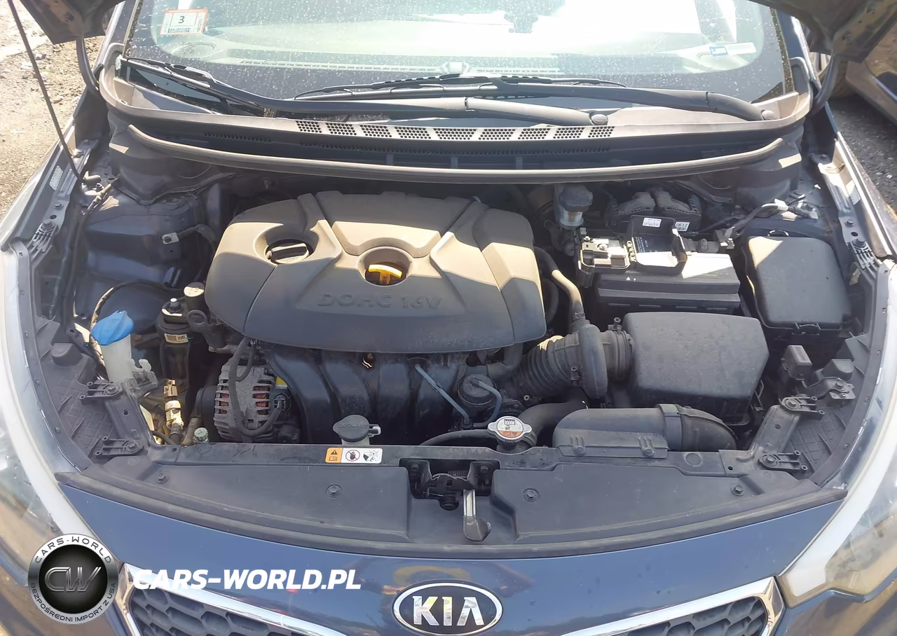 2015 Kia Forte Lx VIN:KNAFX4A60F5426330 - 10