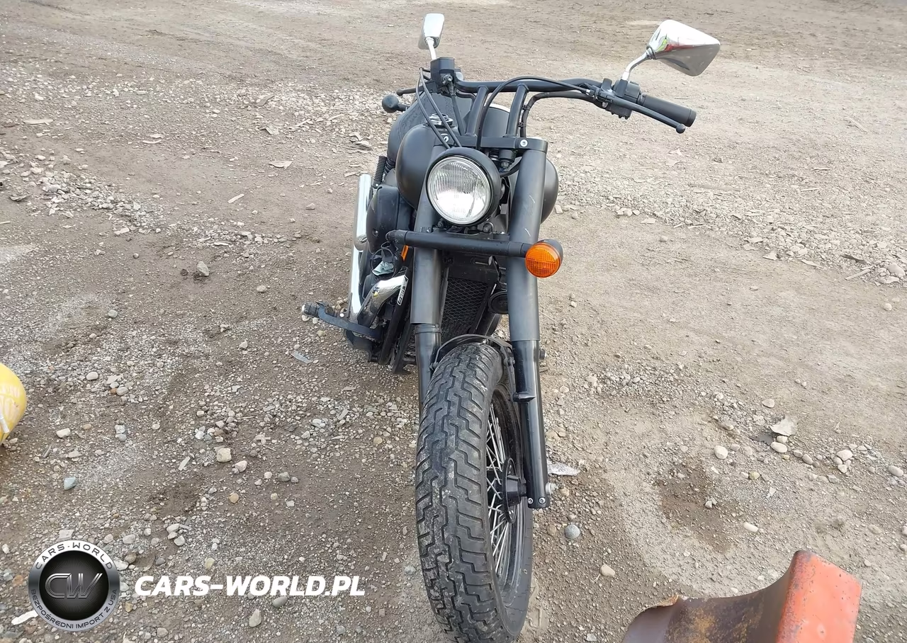 2017 Honda Vt750 C2B VIN:JH2RC5379HK700367 - 5