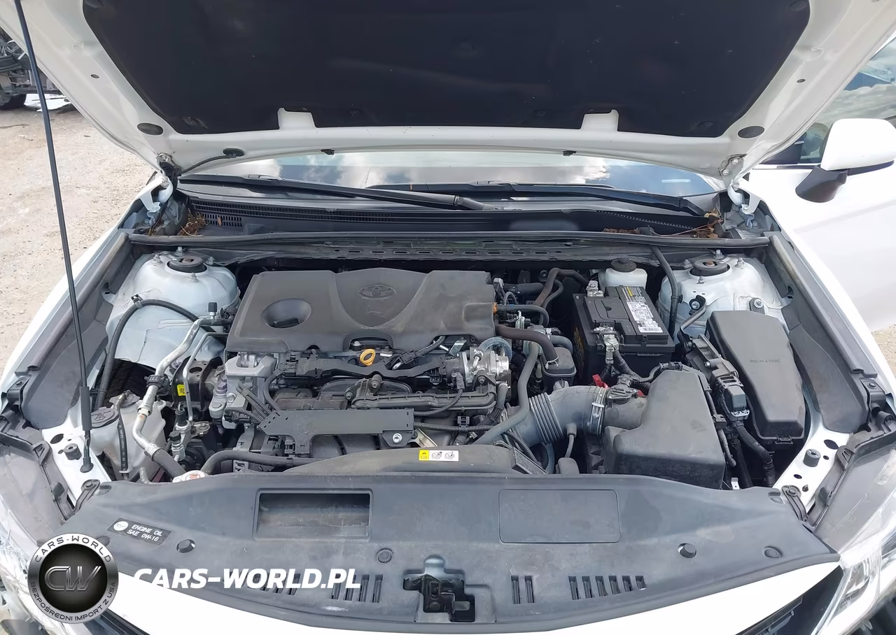 2022 Toyota Camry Le VIN:4T1C11AK3NU628761 - 10