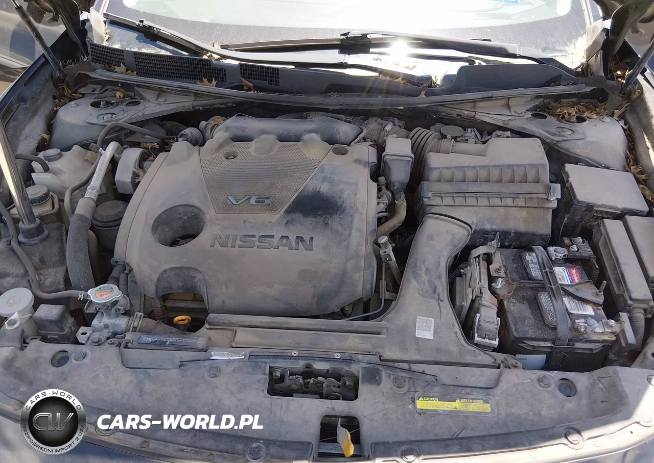 2016 Nissan Maxima 3.5 Sv VIN:1N4AA6AP5GC384128 - 10