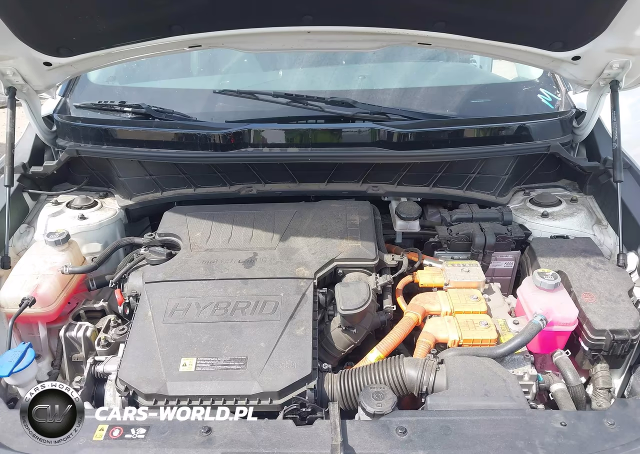 2023 Kia Niro Ex Touring VIN:KNDCR3LE3P5061481 - 10