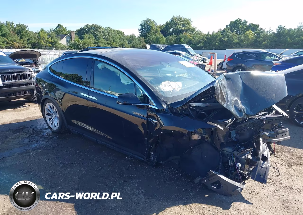 2018 Tesla Model X 100D-75D-P100D VIN:5YJXCAE28JF101313 - 1