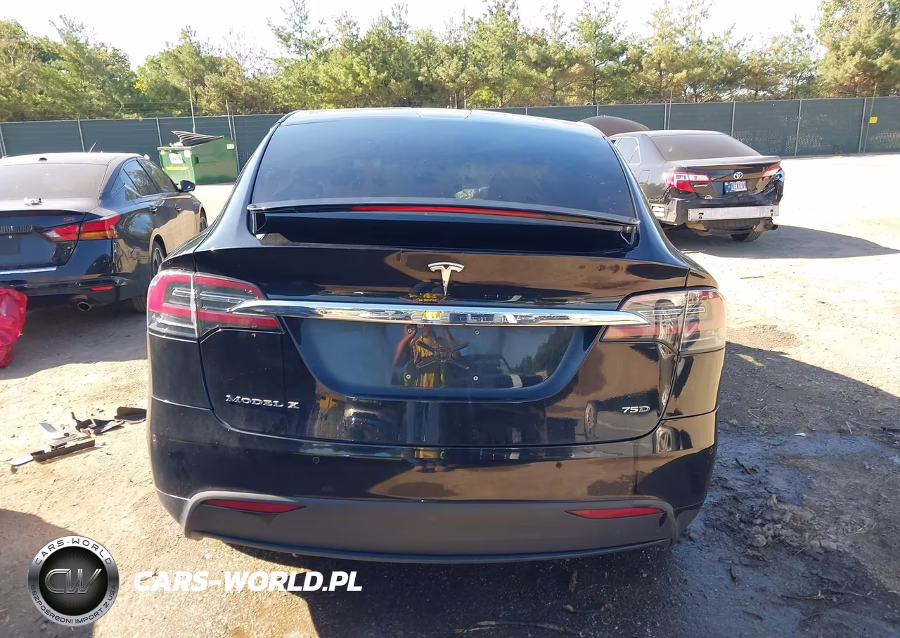 2018 Tesla Model X 100D-75D-P100D VIN:5YJXCAE28JF101313 - 17