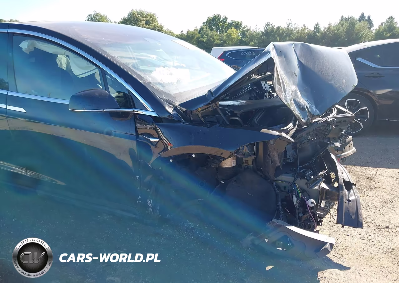 2018 Tesla Model X 100D-75D-P100D VIN:5YJXCAE28JF101313 - 20