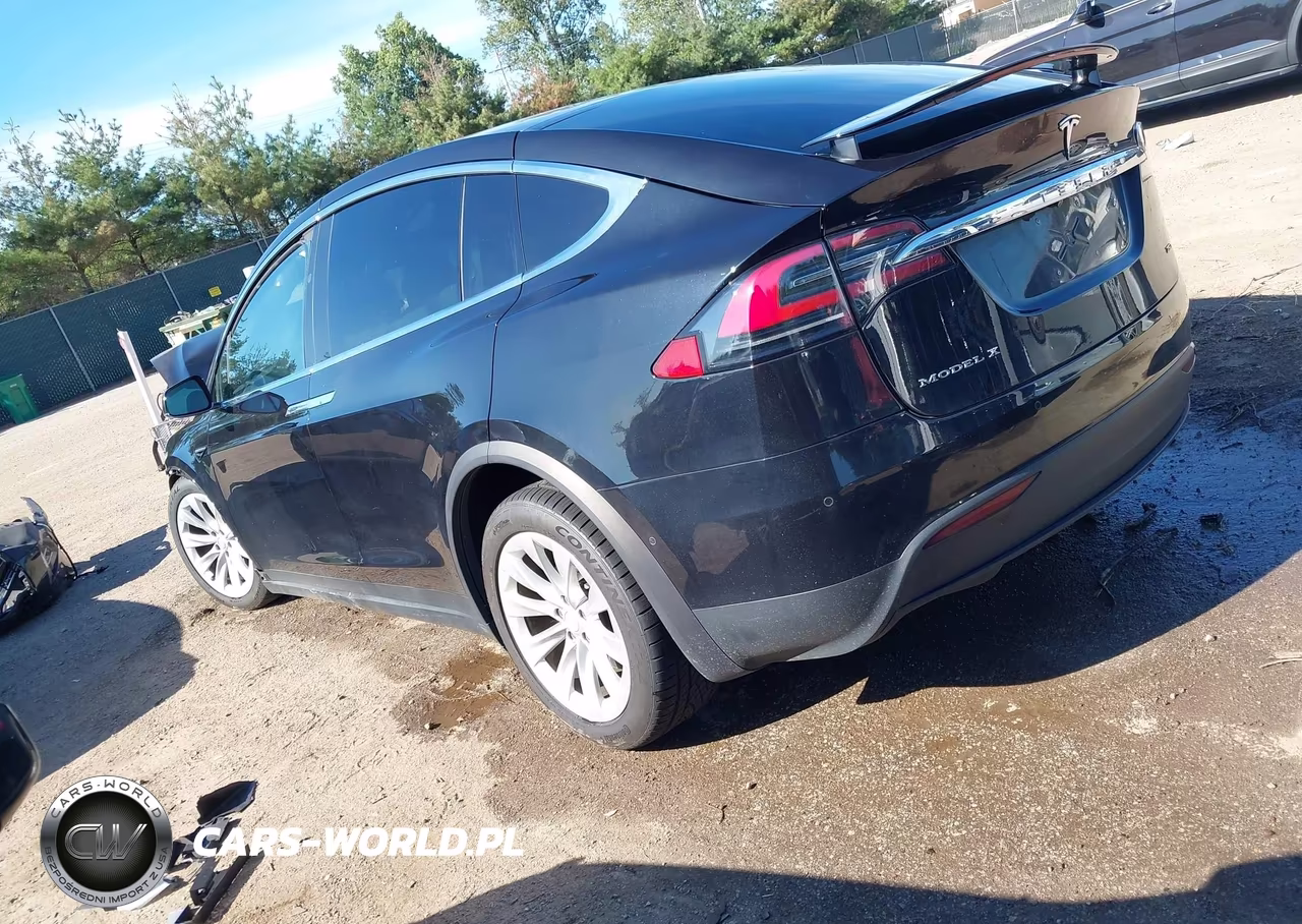 2018 Tesla Model X 100D-75D-P100D VIN:5YJXCAE28JF101313 - 3