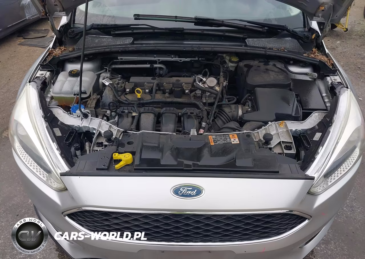 2016 Ford Focus Se VIN:1FADP3K20GL357111 - 10