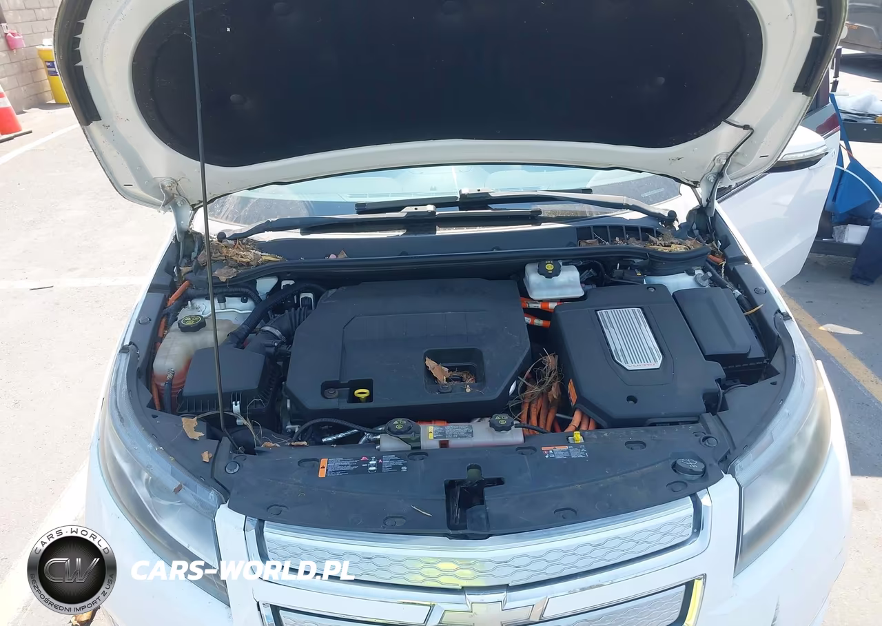 2013 Chevrolet Volt VIN:1G1RE6E4XDU122007 - 10