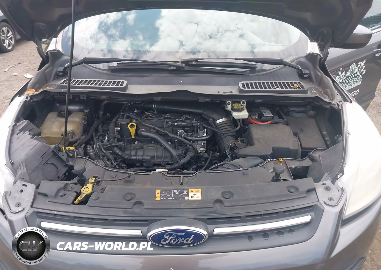 2014 Ford Escape Se VIN:1FMCU0GX6EUC81351 - 10