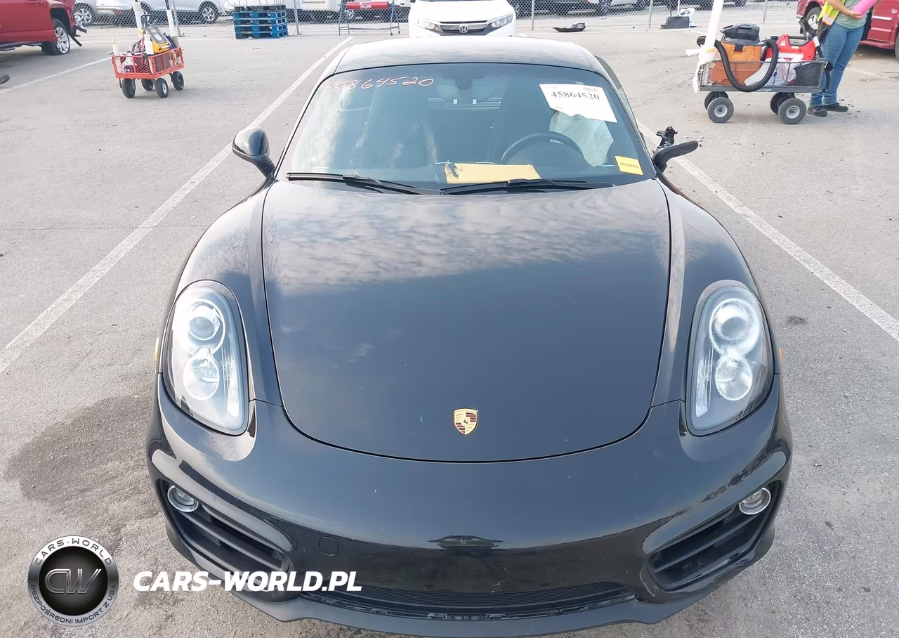 2016 Porsche Cayman Black Edition VIN:WP0AA2A81GK171792 - 13