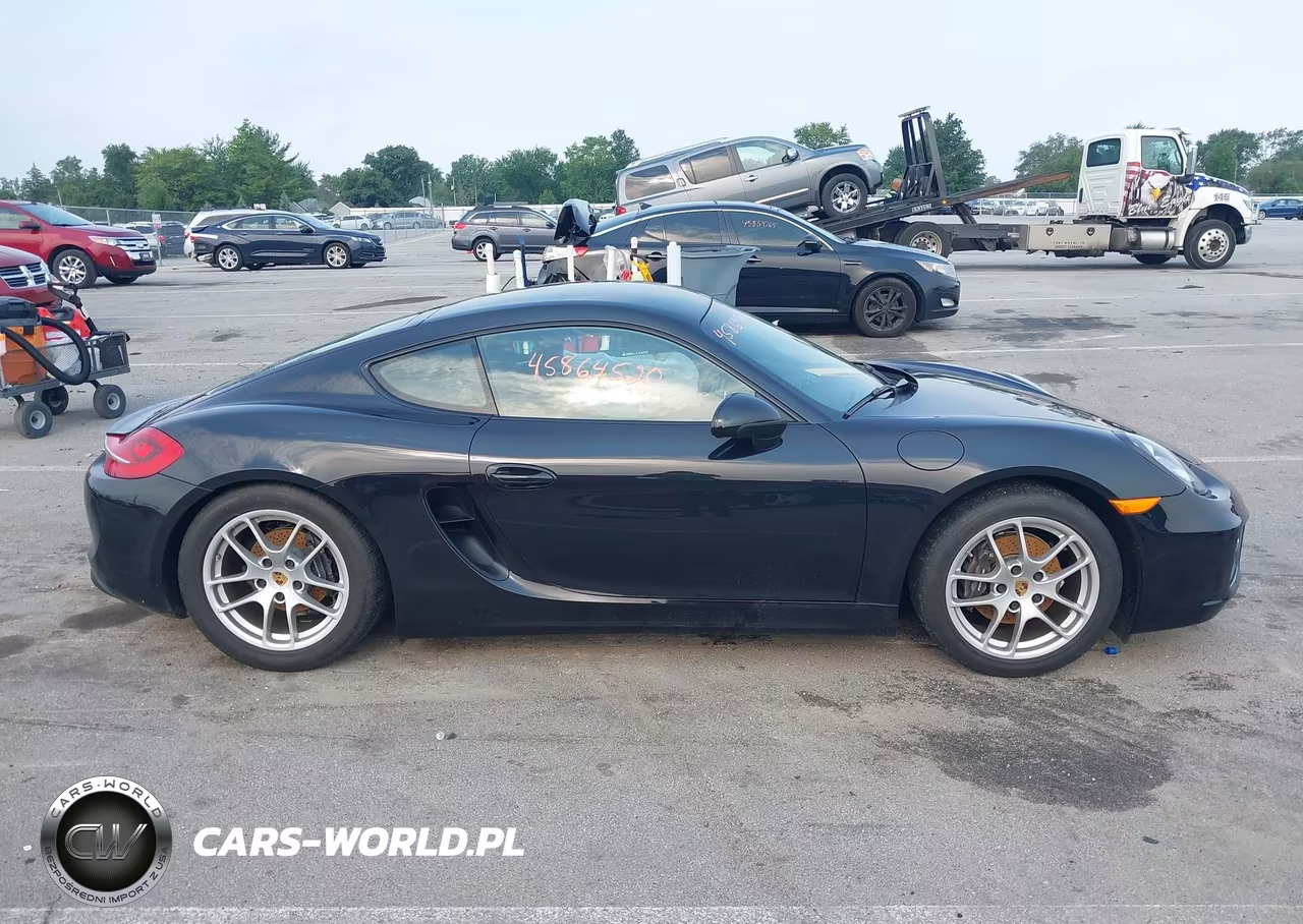 2016 Porsche Cayman Black Edition VIN:WP0AA2A81GK171792 - 14