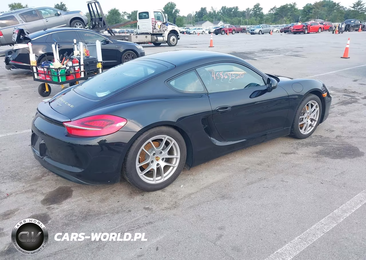 2016 Porsche Cayman Black Edition VIN:WP0AA2A81GK171792 - 4