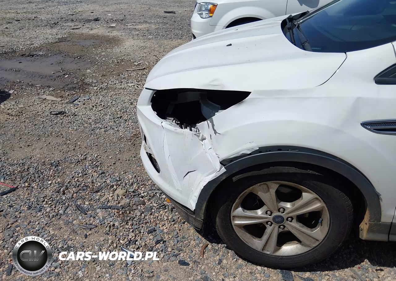 2016 Ford Escape Se VIN:1FMCU0G72GUA60087 - 12