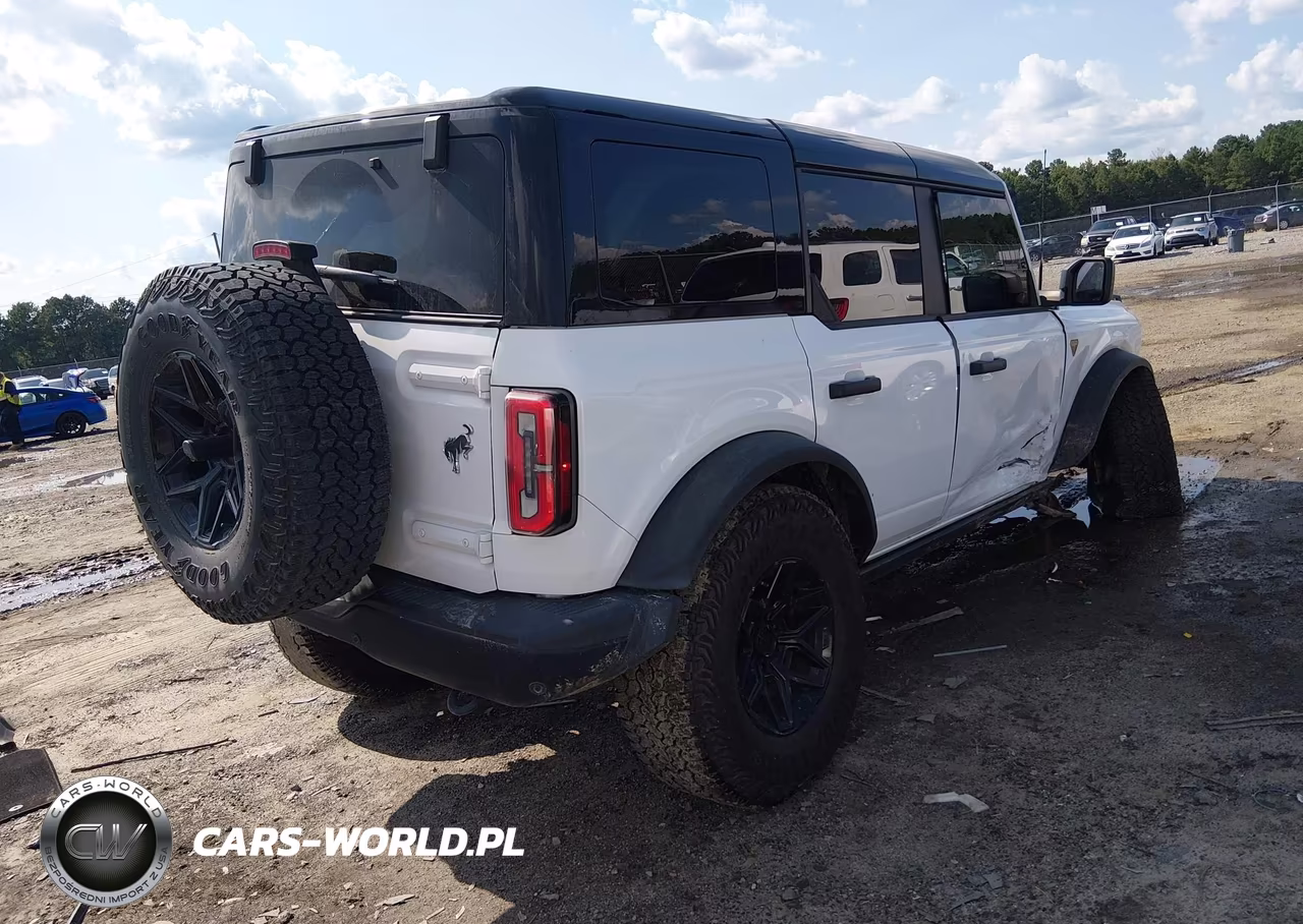 2025 Ford Bronco Badlands VIN:1FMEE9BP3SLA74838 - 4