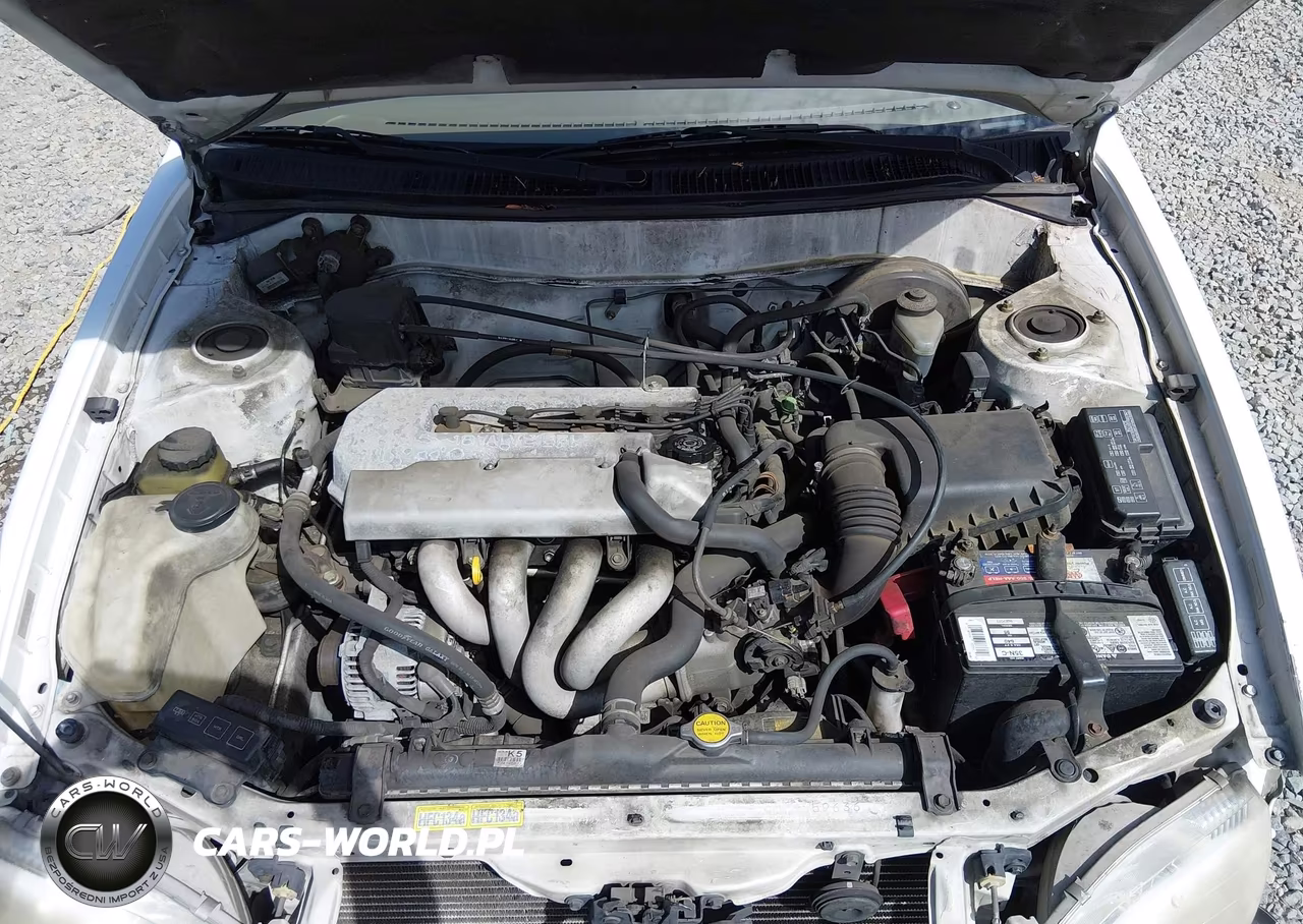 1999 Toyota Corolla Ce VIN:1NXBR12E0XZ261768 - 10