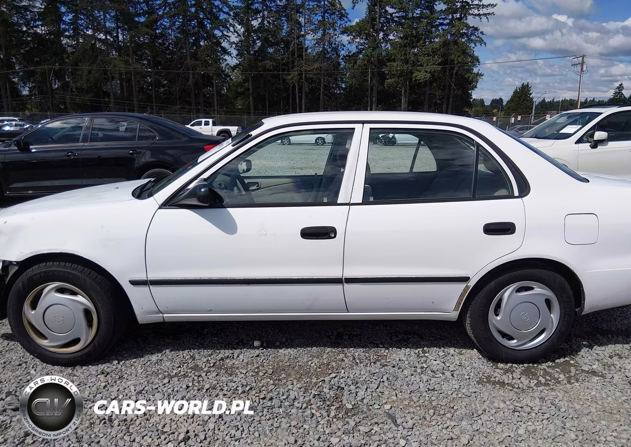 1999 Toyota Corolla Ce VIN:1NXBR12E0XZ261768 - 14