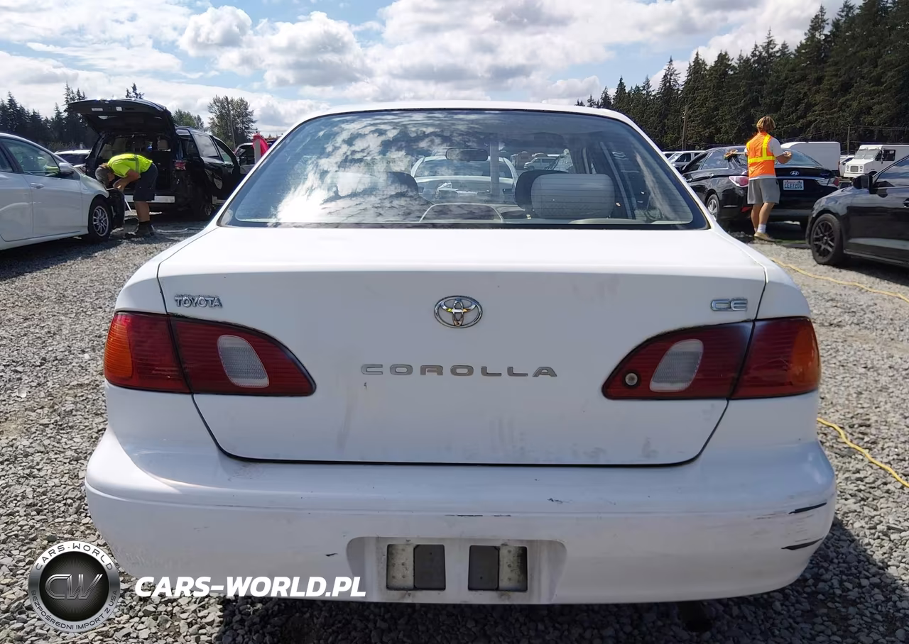 1999 Toyota Corolla Ce VIN:1NXBR12E0XZ261768 - 16