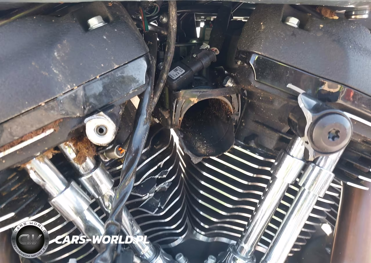 2024 Harley-Davidson Fxlrs VIN:1HD1YWZ11RB038977 - 15
