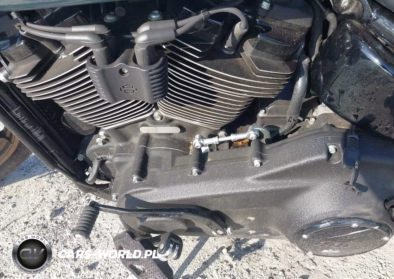 2024 Harley-Davidson Fxlrs VIN:1HD1YWZ11RB038977 - 9
