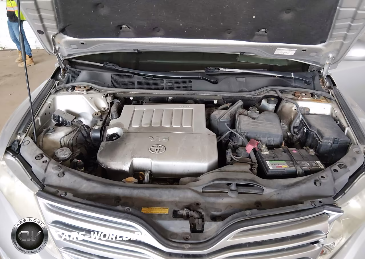2009 Toyota Venza Base V6 VIN:4T3BK11A29U009985 - 10