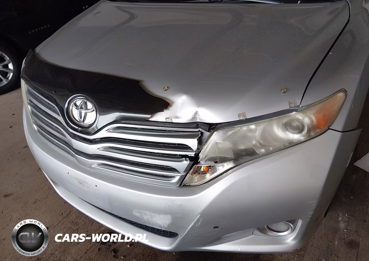 2009 Toyota Venza Base V6 VIN:4T3BK11A29U009985 - 6