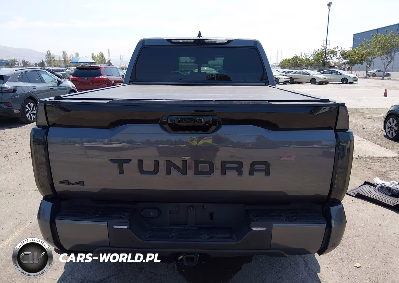 2024 Toyota Tundra Platinum VIN:5TFNA5DBXRX162380 - 16