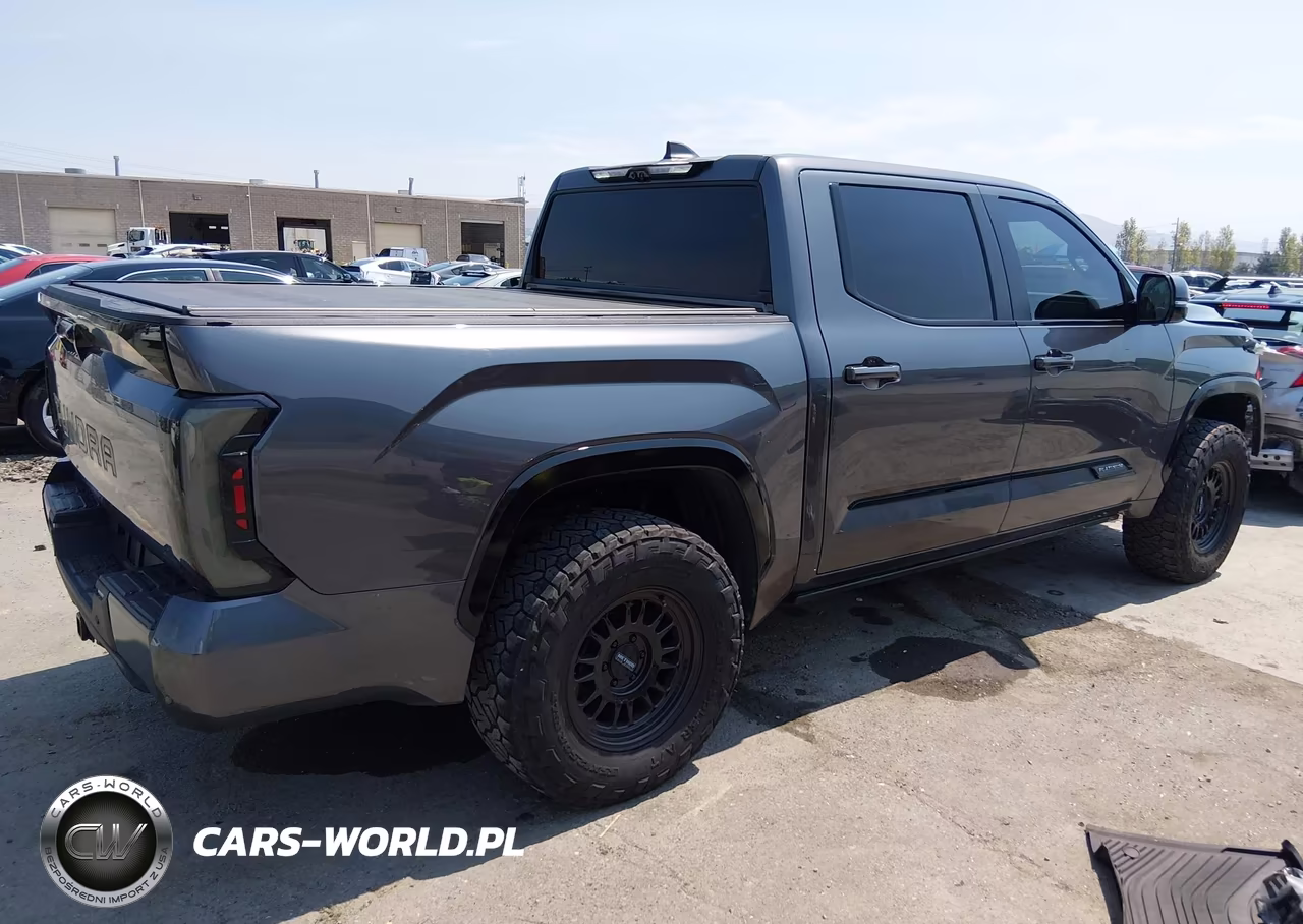 2024 Toyota Tundra Platinum VIN:5TFNA5DBXRX162380 - 4