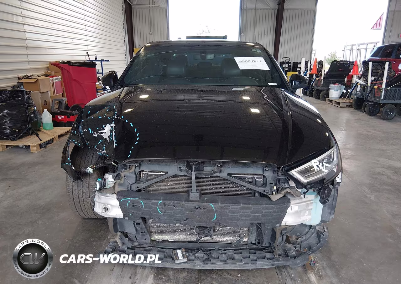 2019 Audi A3 45 Premium VIN:WAUJEGFF5KA083879 - 12