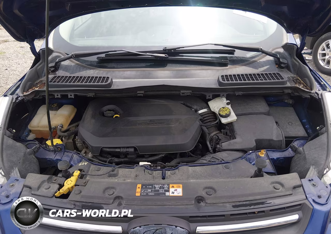 2014 Ford Escape Se VIN:1FMCU0GX1EUD23702 - 10