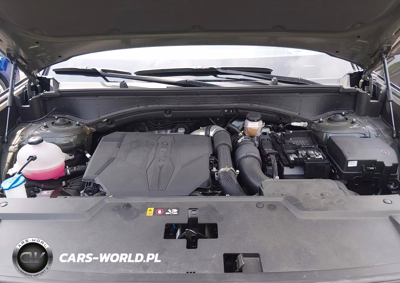 2025 Hyundai Santa Fe Calligraphy VIN:5NMP5DGL7SH111686 - 10